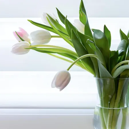 Blue 17 Z Basenem Pobierowo