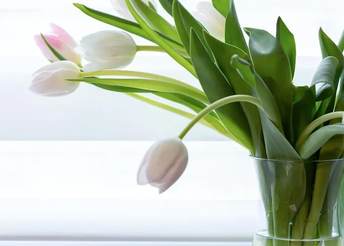 Blue 17 Z Basenem Pobierowo